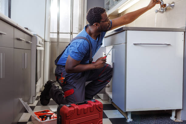 Best Plumbing Inspection Services  in Risg Sun, IN